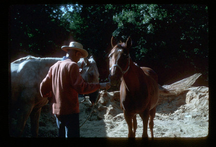 Slide925.jpg
